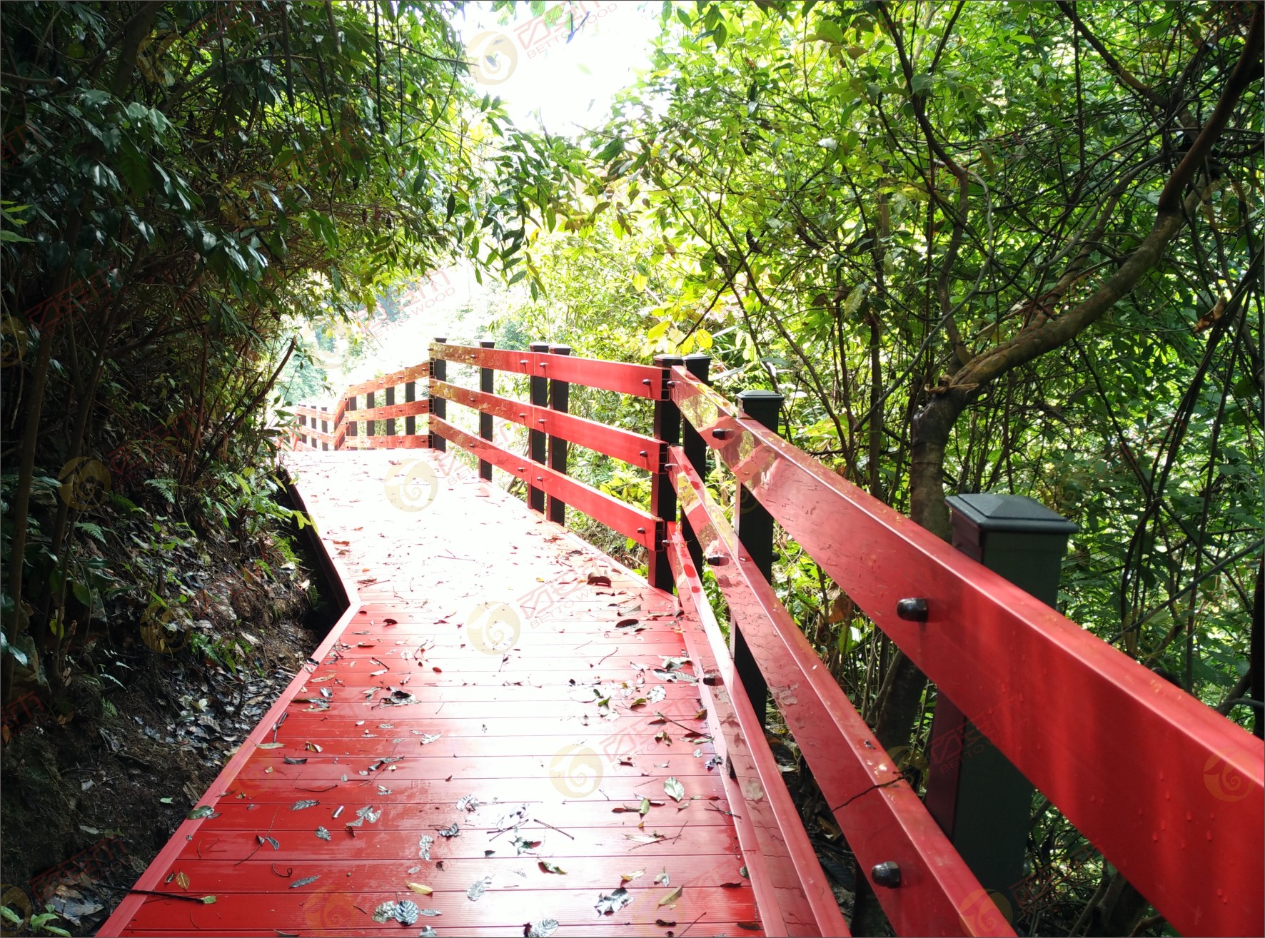 塑木棧道成為一道靚麗的風(fēng)景