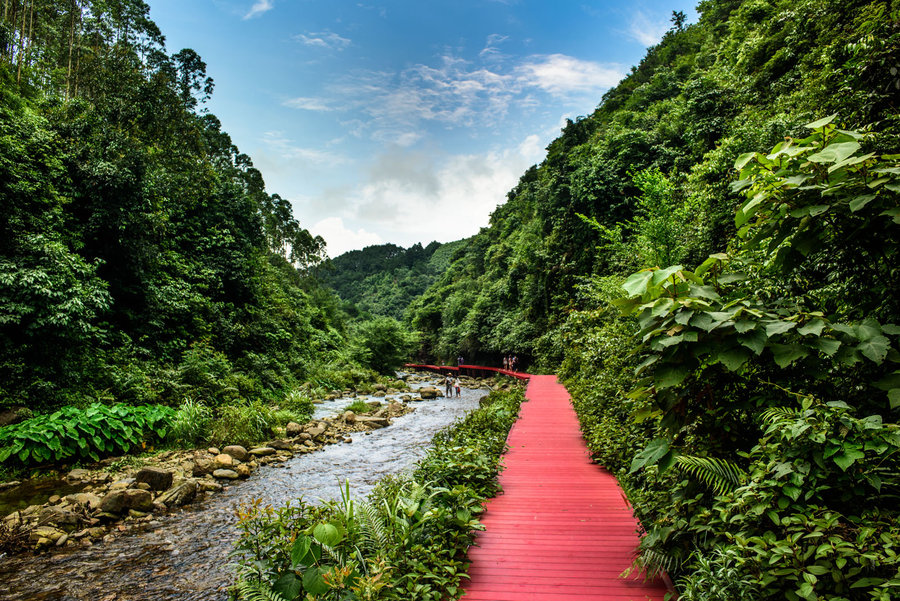 別致的塑木棧道，別致的風(fēng)景