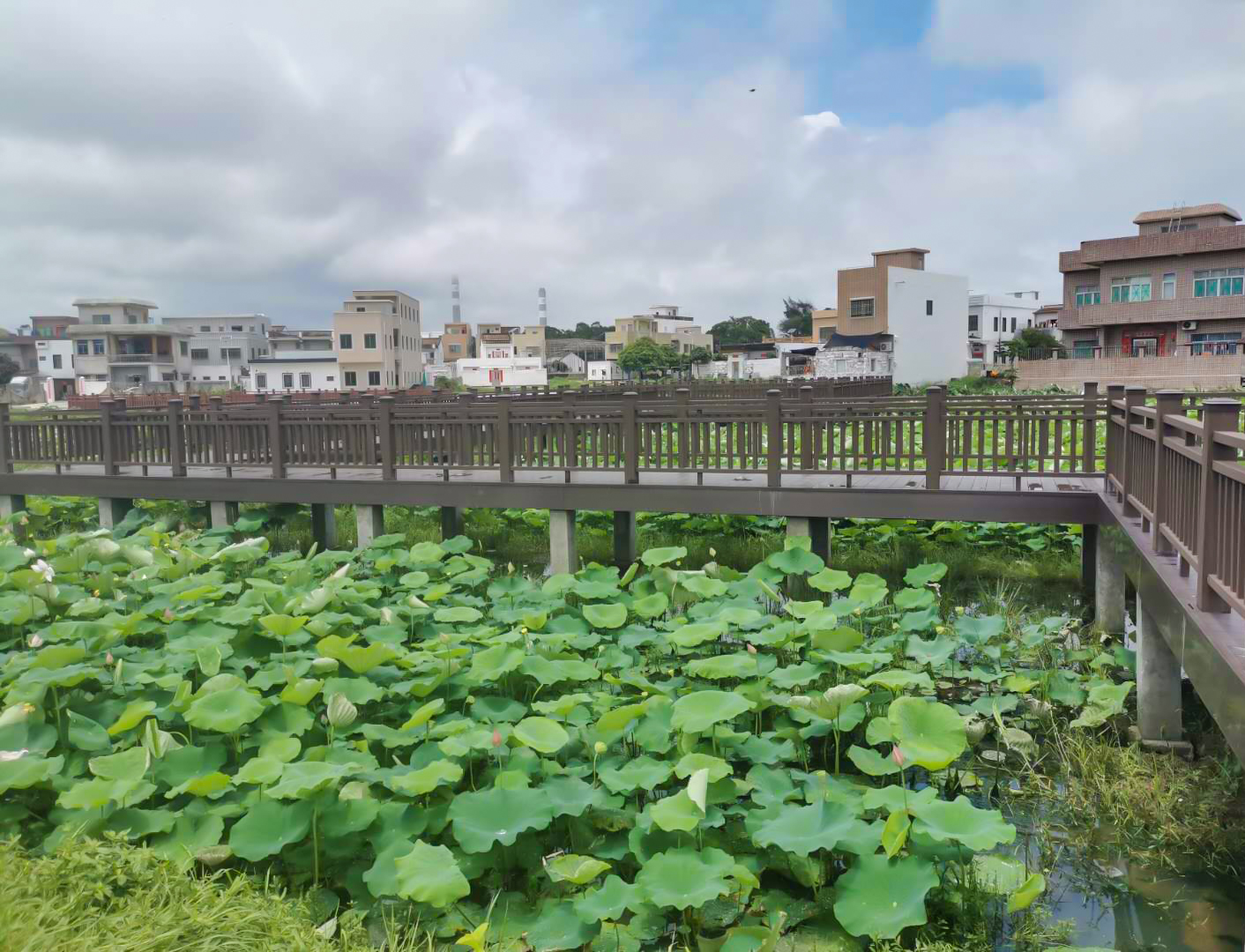 荷塘塑木棧道